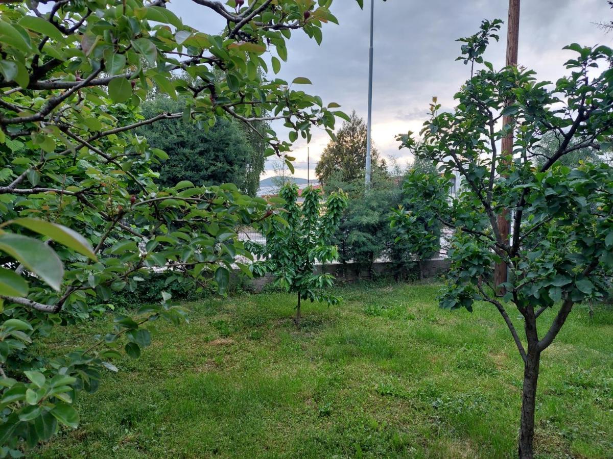 Mateski Guest House Охрид Екстериор снимка